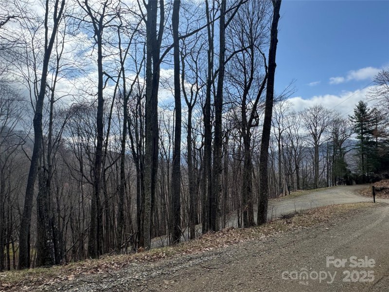 Property image 5 of 344 Tearshirt Lane in Wolf Laurel, Mars Hill, NC 28754