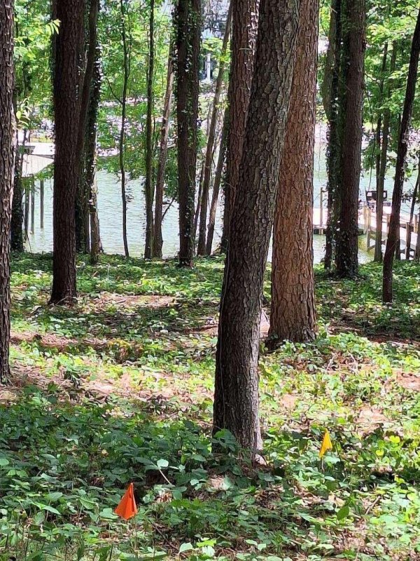 Property image 2 of 3950 Granite Street in Somerset On Lake Norman, Terrell, NC 28682