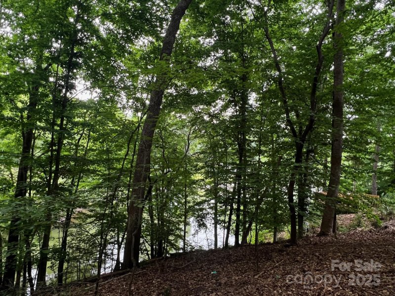 Property image 5 of Lot 27 Laurel Cove Road in Laurel Cove, Statesville, NC 28677