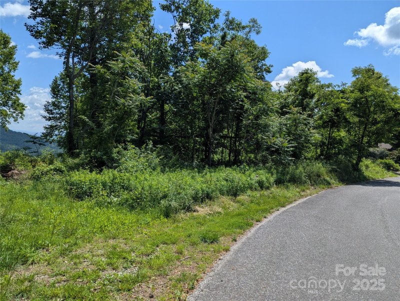 Property image 4 of 67 Creston Drive in Creston, Black Mountain, NC 28711