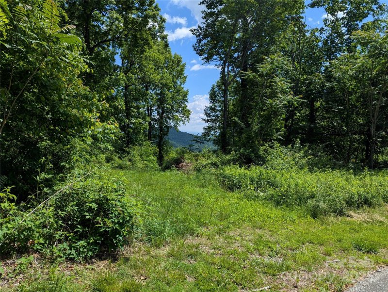 Property image 5 of 67 Creston Drive in Creston, Black Mountain, NC 28711