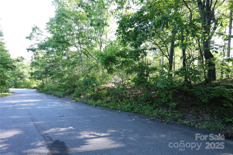 Property image 2 at 9999 Crestview Drive, Black Mountain, NC 28711