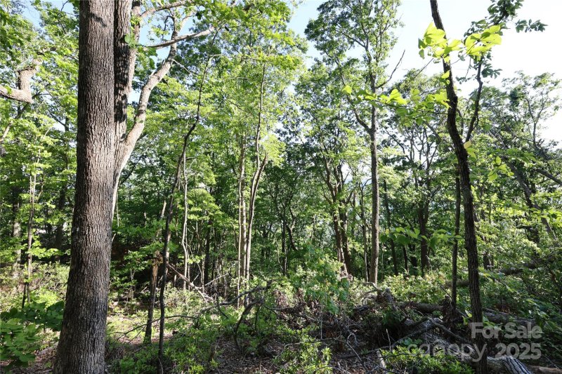 Property image 3 at 9999 Crestview Drive, Black Mountain, NC 28711