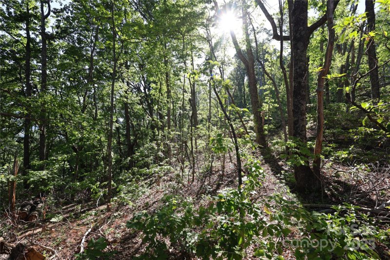 Property image 4 at 9999 Crestview Drive, Black Mountain, NC 28711