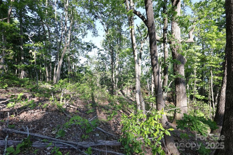 Property image 5 at 9999 Crestview Drive, Black Mountain, NC 28711