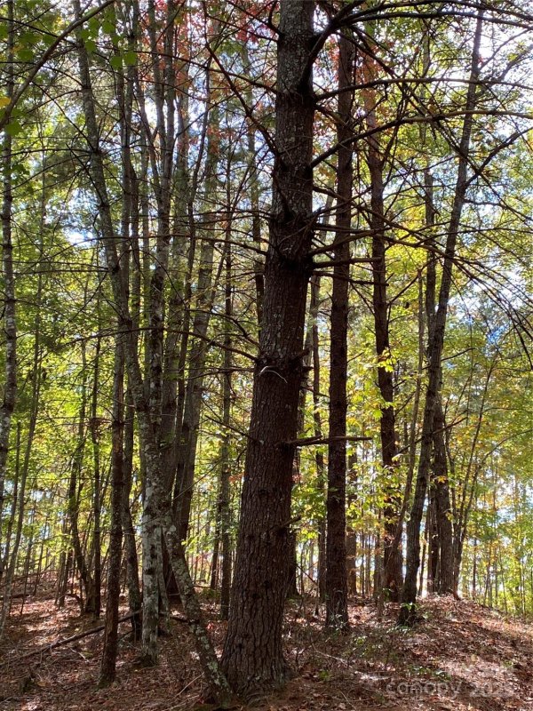 Property image 5 of Lot 13 Highlands Drive in Highlands of Lake Lure, Lake Lure, NC 28746