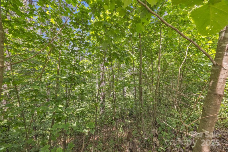 Property image 2 of 486 E Settings Boulevard in Lake Rhodhiss Estates, Morganton, NC 28655