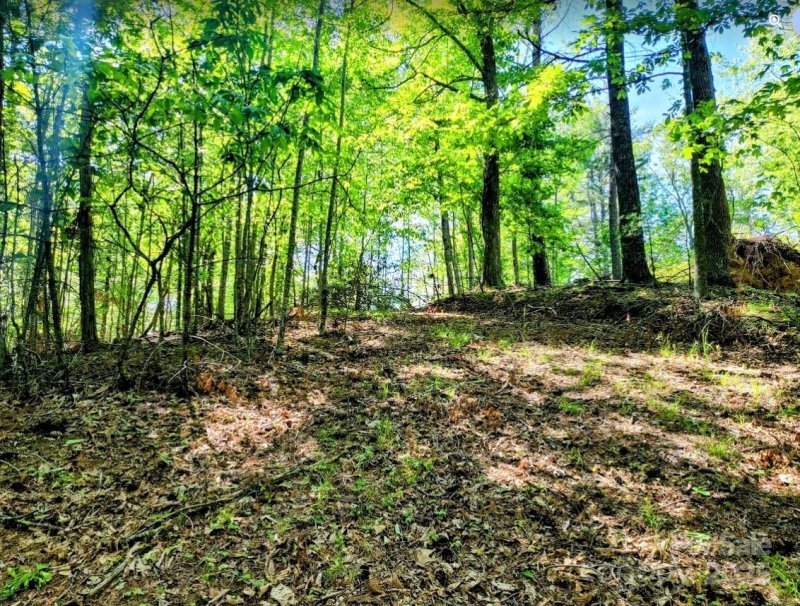 Property image 2 of Tbd Lucky Leaf Lane in The Homestead, Vilas, NC 28692