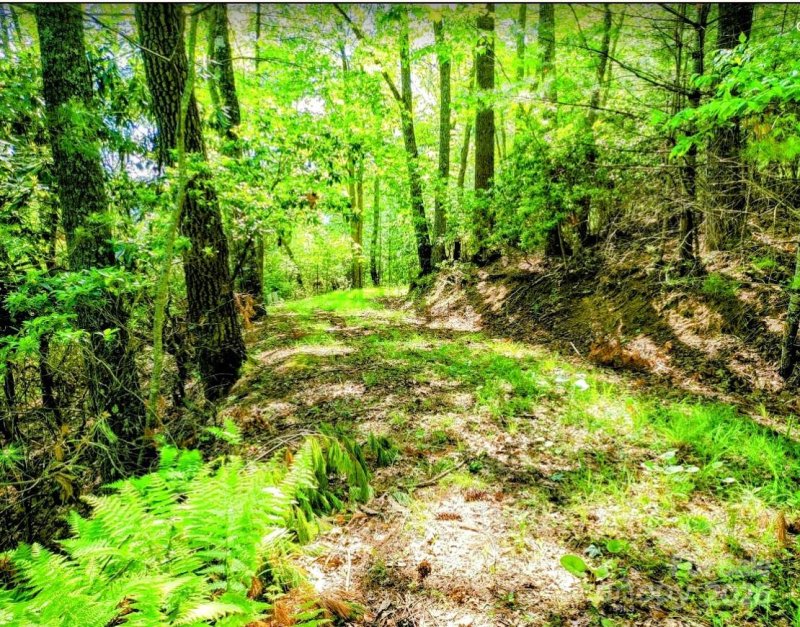 Property image 4 of Tbd Lucky Leaf Lane in The Homestead, Vilas, NC 28692