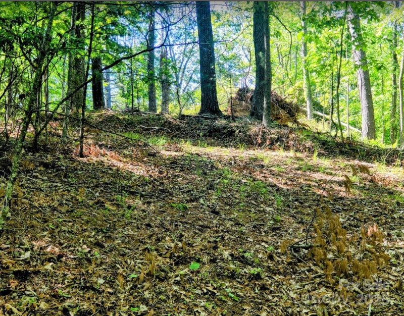 Property image 5 of Tbd Lucky Leaf Lane in The Homestead, Vilas, NC 28692