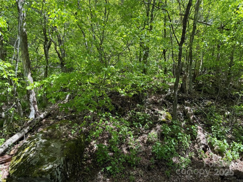 Property image 2 of 19 Wakeman Way Way in Fox Pointe, Banner Elk, NC 28604