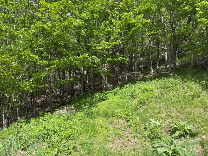 Property image 4 of 19 Wakeman Way Way in Fox Pointe, Banner Elk, NC 28604