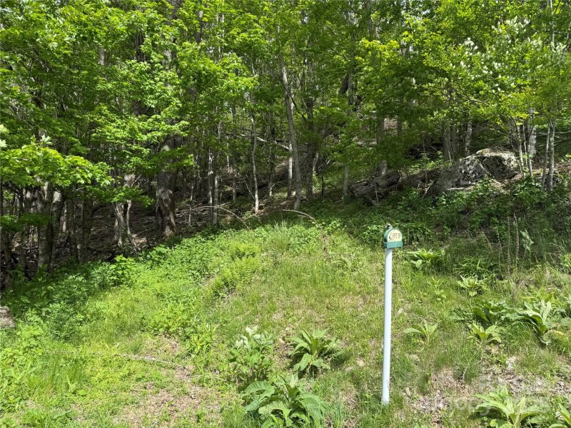 Property image 5 of 19 Wakeman Way Way in Fox Pointe, Banner Elk, NC 28604