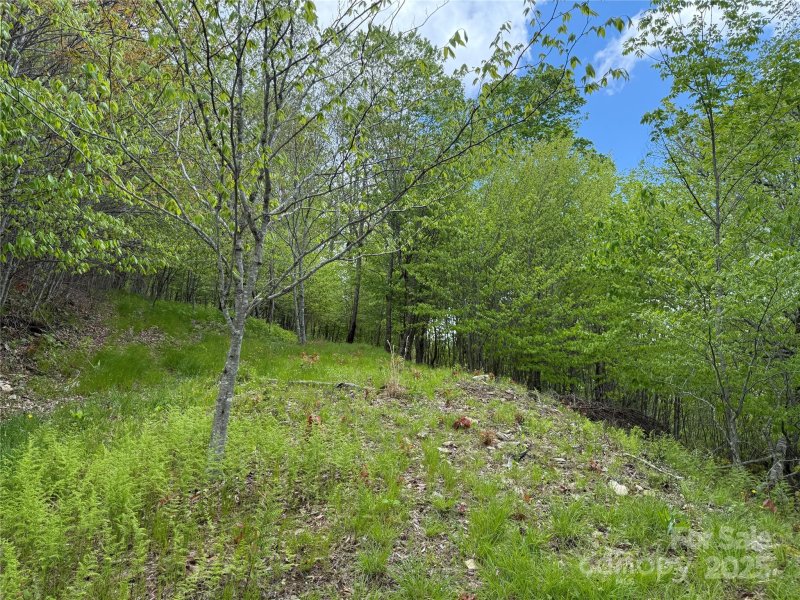 Fox Pointe, Banner Elk Community