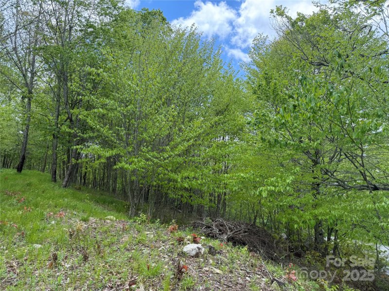 Property image 2 of 4 Fox Pointe Drive in Fox Pointe, Banner Elk, NC 28604