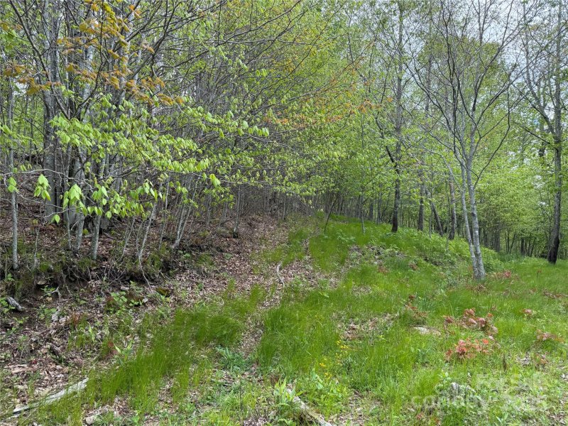 Property image 3 of 4 Fox Pointe Drive in Fox Pointe, Banner Elk, NC 28604