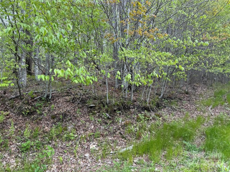 Property image 4 of 4 Fox Pointe Drive in Fox Pointe, Banner Elk, NC 28604