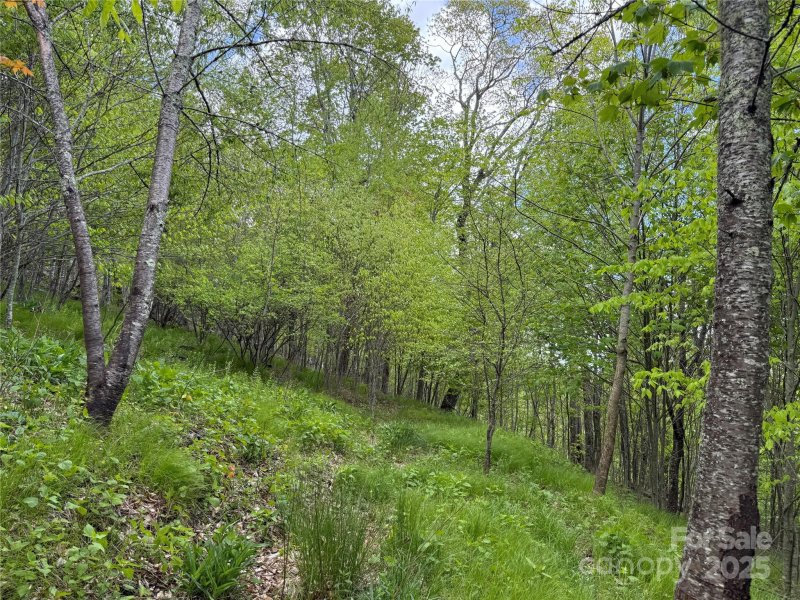 Property image 5 of 4 Fox Pointe Drive in Fox Pointe, Banner Elk, NC 28604