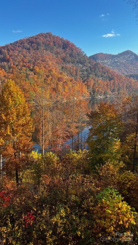 Property image 2 at 75 Indigo Bunting Court, Tuckasegee, NC 28783