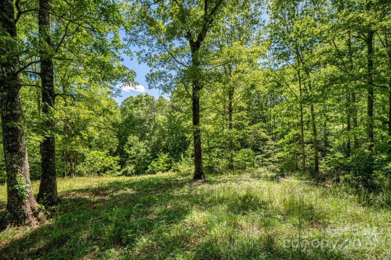 Property image 4 at 501 Deer Chase Circle, Cedar Mountain, NC 28718