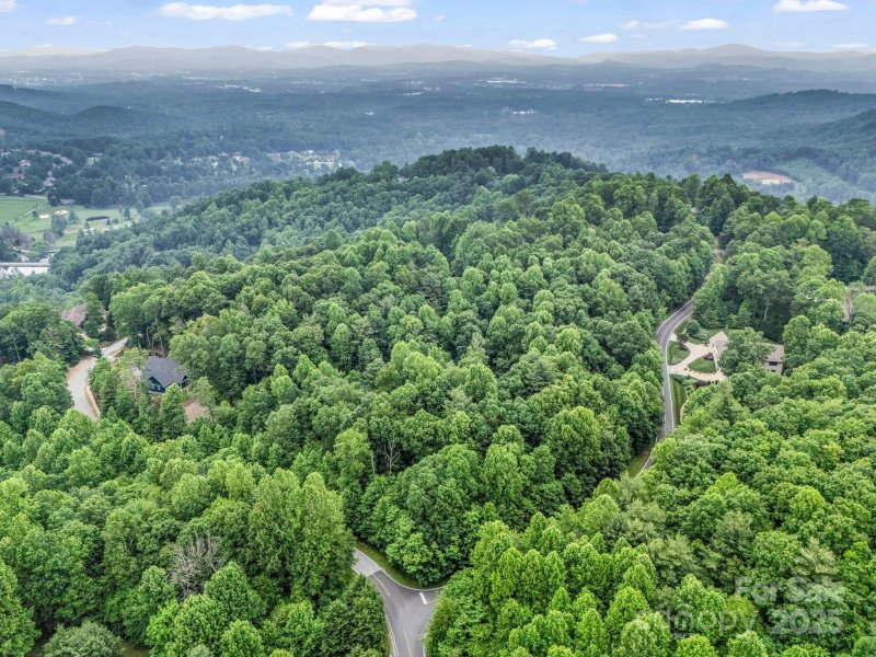 Property image 2 of 168 Tarnhill Drive in Kenmure, Flat Rock, NC 28731