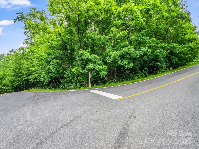 Property image 4 of 168 Tarnhill Drive in Kenmure, Flat Rock, NC 28731