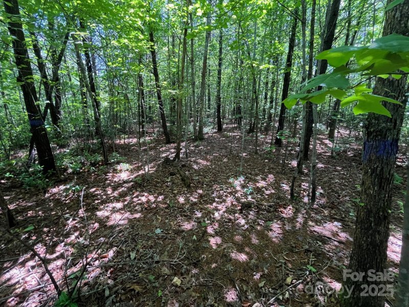 Property image 2 at V L Bambi Drive, Marion, NC 28752