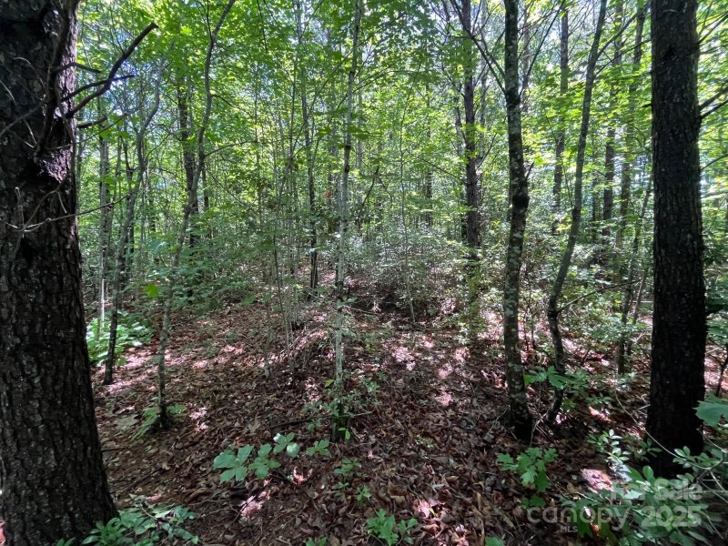 Property image 3 at V L Bambi Drive, Marion, NC 28752