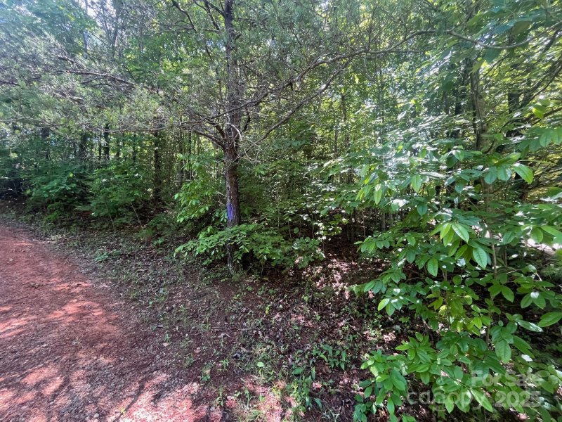 Property image 5 at V L Bambi Drive, Marion, NC 28752