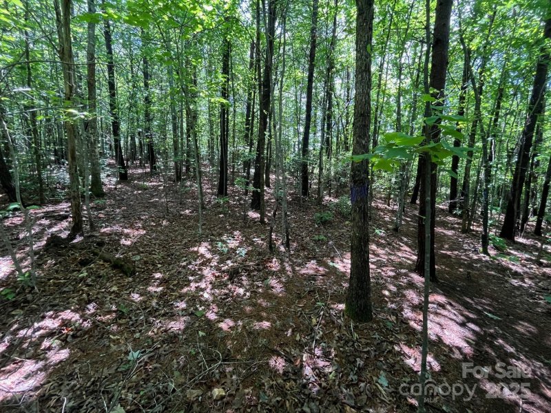 Property image 2 at V L Bambi Drive, Marion, NC 28752