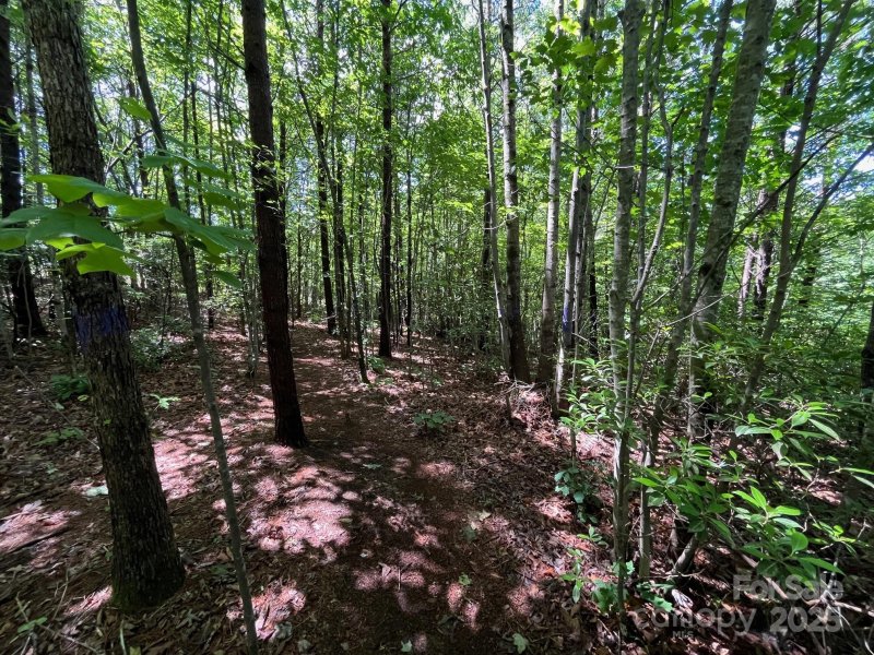 Property image 3 at V L Bambi Drive, Marion, NC 28752