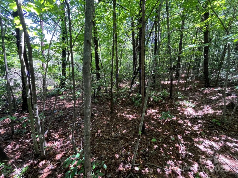 Property image 4 at V L Bambi Drive, Marion, NC 28752