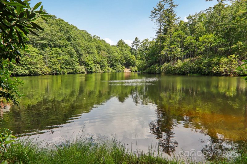 Property image 3 at 219 Hiwassee Road, Lake Toxaway, NC 28747