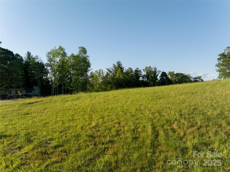 Property image 4 of 124 Lilikoi Lane in Olivette, Asheville, NC 28804