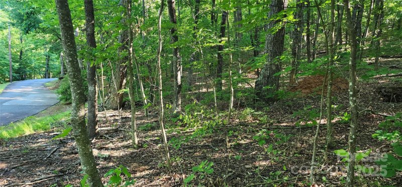 Property image 2 of Lot 71 Serpentine Drive in White Oak Mountain, Columbus, NC 28722