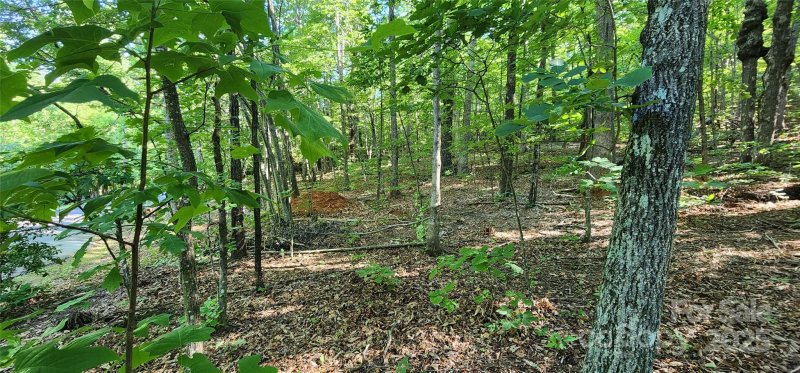 Property image 3 of Lot 71 Serpentine Drive in White Oak Mountain, Columbus, NC 28722