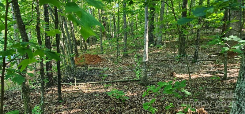 Property image 4 of Lot 71 Serpentine Drive in White Oak Mountain, Columbus, NC 28722