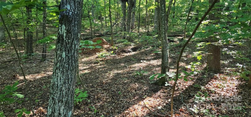 Property image 5 of Lot 71 Serpentine Drive in White Oak Mountain, Columbus, NC 28722