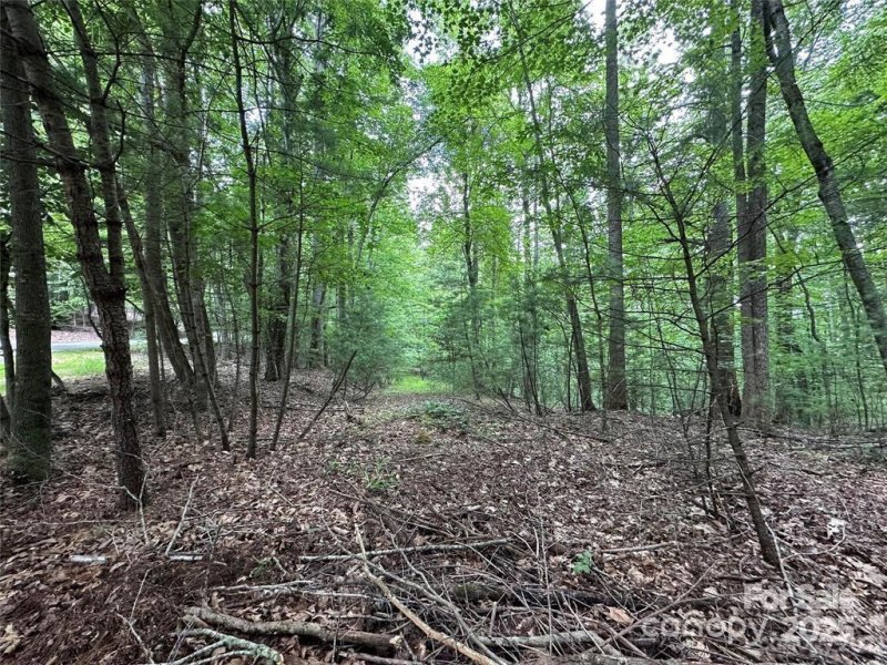 Property image 3 of 00 Hickory Tree Lane in Kanuga Ridge, Hendersonville, NC 28739