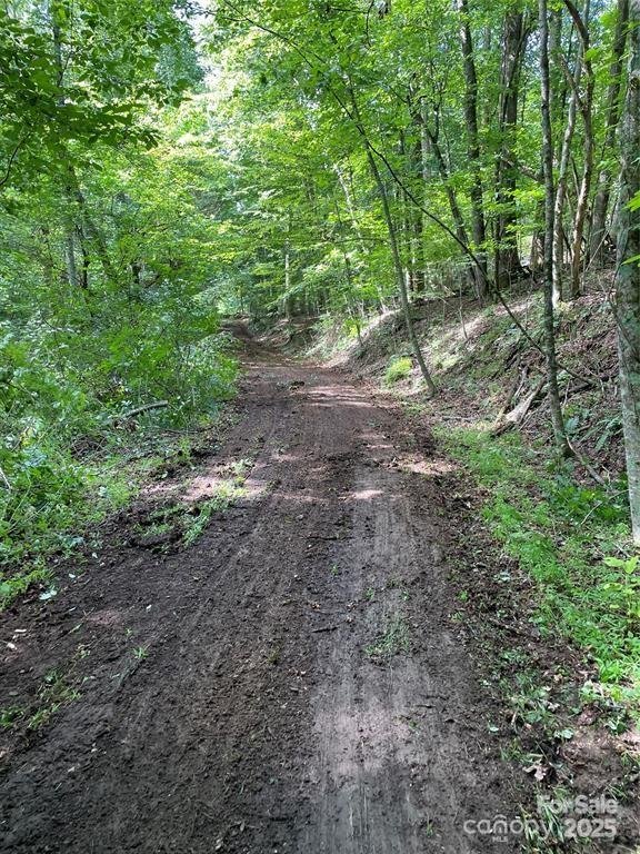 Property image 5 of 00 Hickory Tree Lane in Kanuga Ridge, Hendersonville, NC 28739