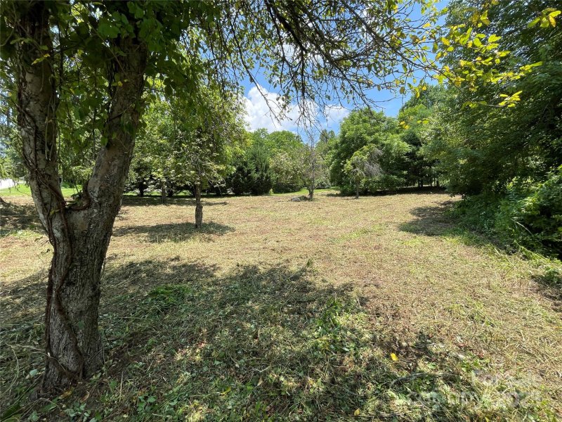 Property image 3 of 150 Founders Drive in Kenmure, Flat Rock, NC 28731