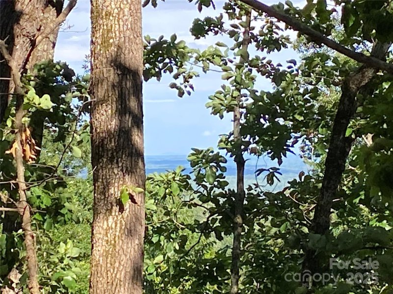 0 Youngs Mountain Drive