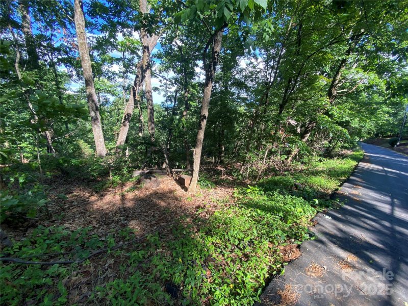 Property image 2 at 0 Youngs Mountain Drive, Lake Lure, NC 28746