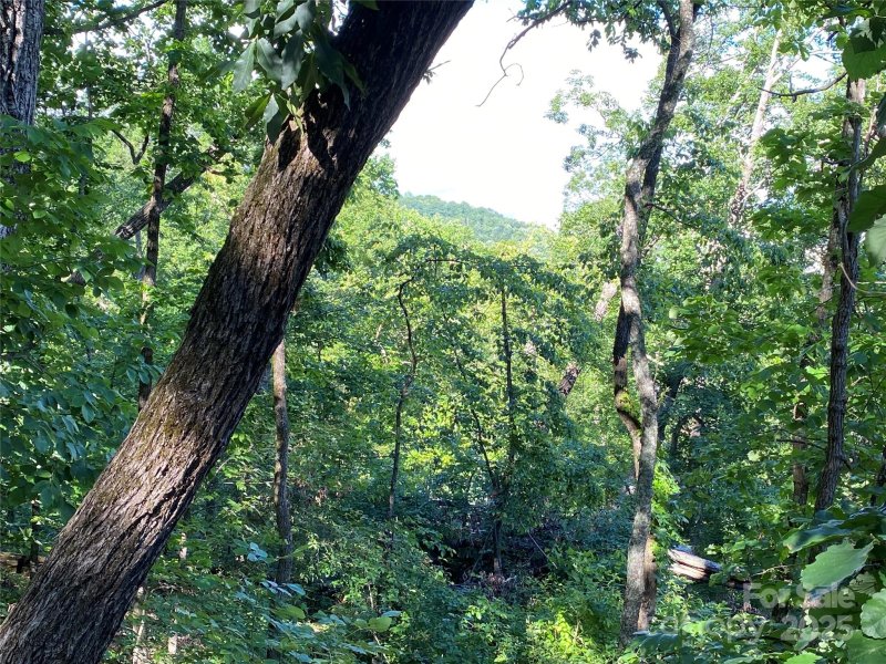 Property image 4 at 0 Youngs Mountain Drive, Lake Lure, NC 28746