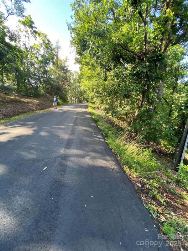 Property image 5 at 0 Youngs Mountain Drive, Lake Lure, NC 28746