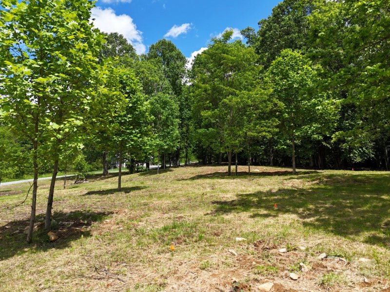 Property image 3 at 280 Split Pine Cove, Clyde, NC 28721