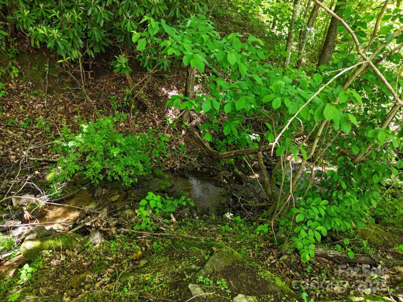 Property image 4 at 280 Split Pine Cove, Clyde, NC 28721