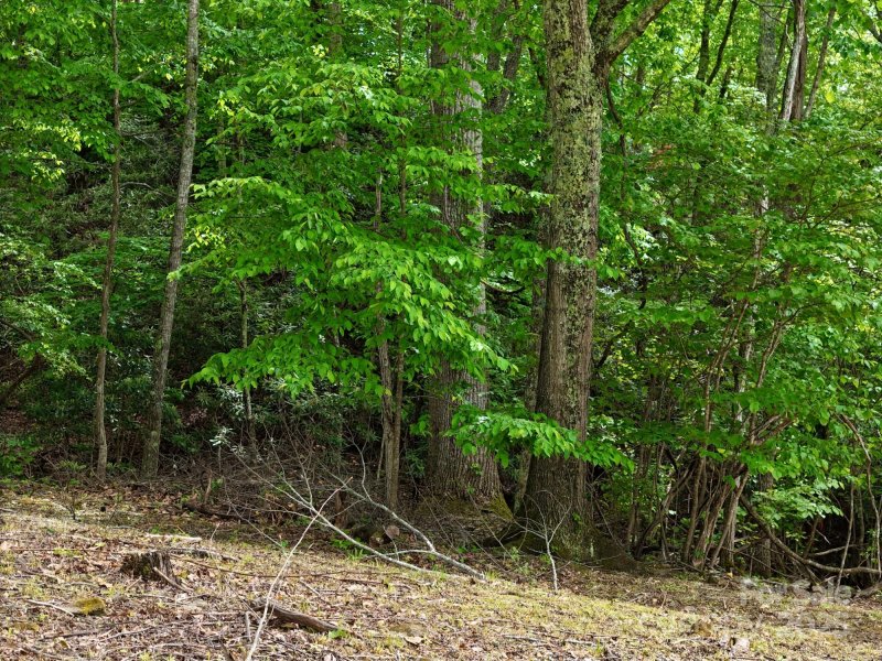 Property image 5 at 280 Split Pine Cove, Clyde, NC 28721