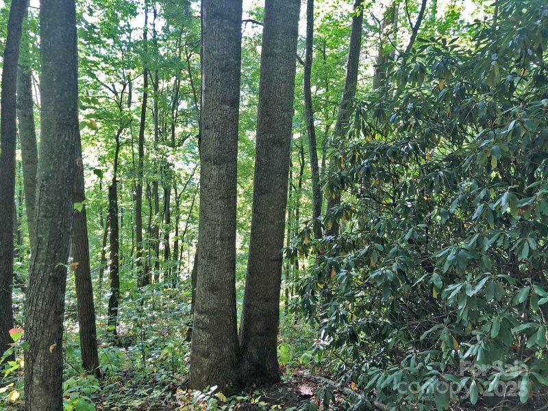 Property image 3 of 112 113 Grouse Road in Quail Cove, Clyde, NC 28721