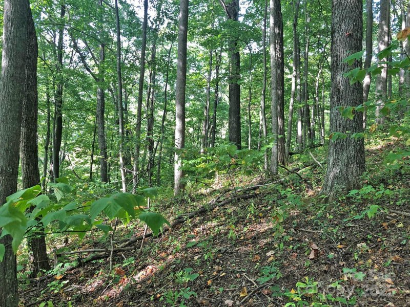 Property image 4 of 112 113 Grouse Road in Quail Cove, Clyde, NC 28721